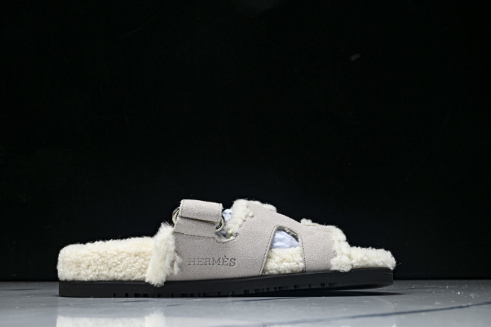 H*RMES  SLIDS   HM-55