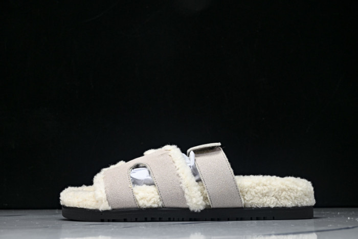 H*RMES  SLIDS   HM-55