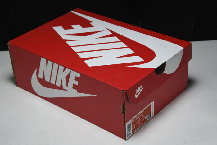 Nike Dunk Low Retro QS Argon DM0121-400