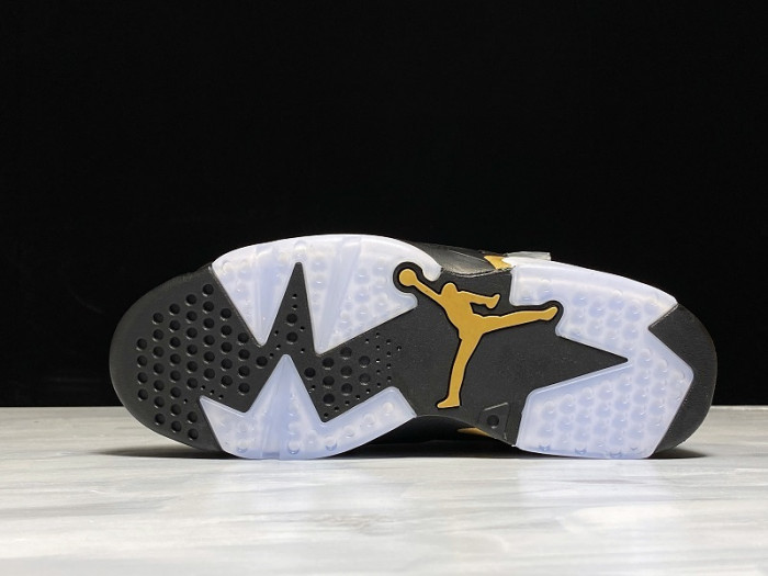 Air Jordan 6 Retro DMP (2020)  CT4954-007