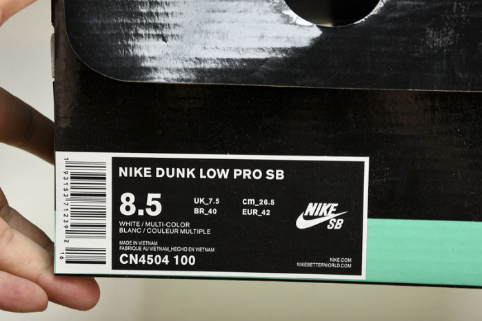 Parra x NIKE SB DUNK LOW CN4504-100