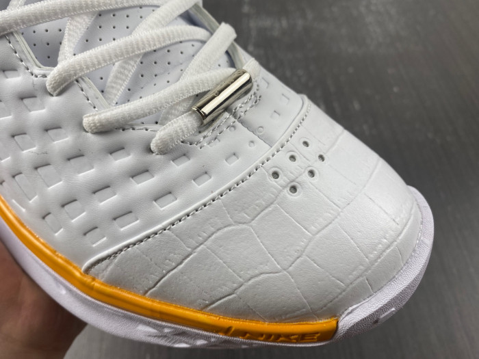 Nike Zoom Kobe 3 MVP 318695-151