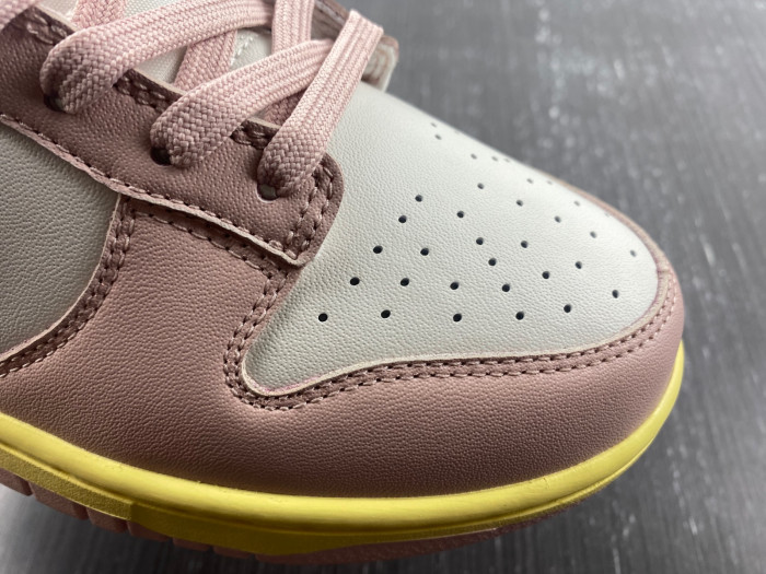 Nike SB Low DD1503-601