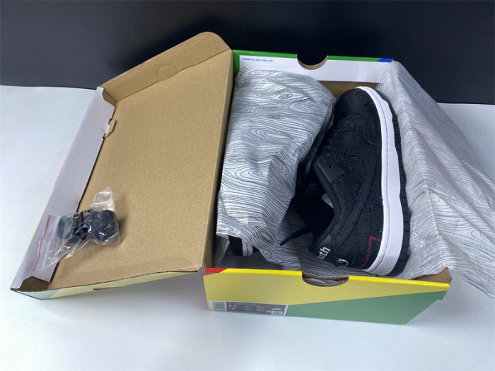 Nike SB Dunk Low Wasted Youth - DD8386-001