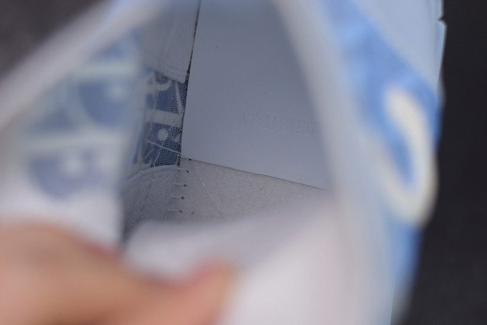 D10R B23 Oblique High Top Sneaker