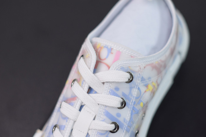 D10R B23 Oblique Low Top Sneakers L00N4